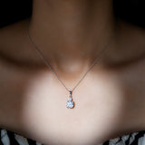 dailyjewelry-Wholesalekings-lab grown diamond 2 stone necklace 925 sterling silver